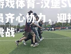 汉堡SV球员齐心协力，迎接新的挑战